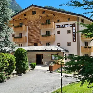 Meublè La Betulla Hotel Chiesa in Valmalenco